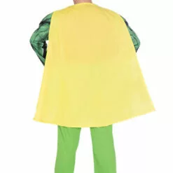 Generic Movies Childrens Classic Robin Costume