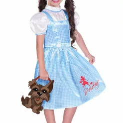Generic Childrens Wizard Of Oz Dorothy Costume